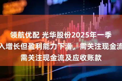 领航优配 光华股份2025年一季度财报：收入增长但盈利能力下滑，需关注现金流及应收账款