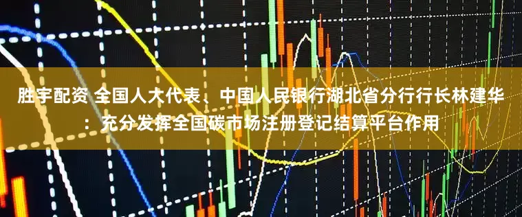 胜宇配资 全国人大代表、中国人民银行湖北省分行行长林建华：充分发挥全国碳市场注册登记结算平台作用