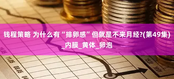 钱程策略 为什么有“排卵感”但就是不来月经?(第49集)_内膜_黄体_卵泡